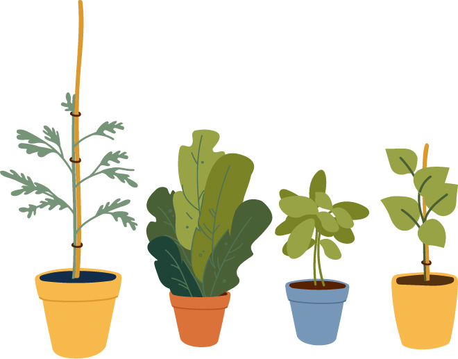 various plants illustrated in colorful containers
