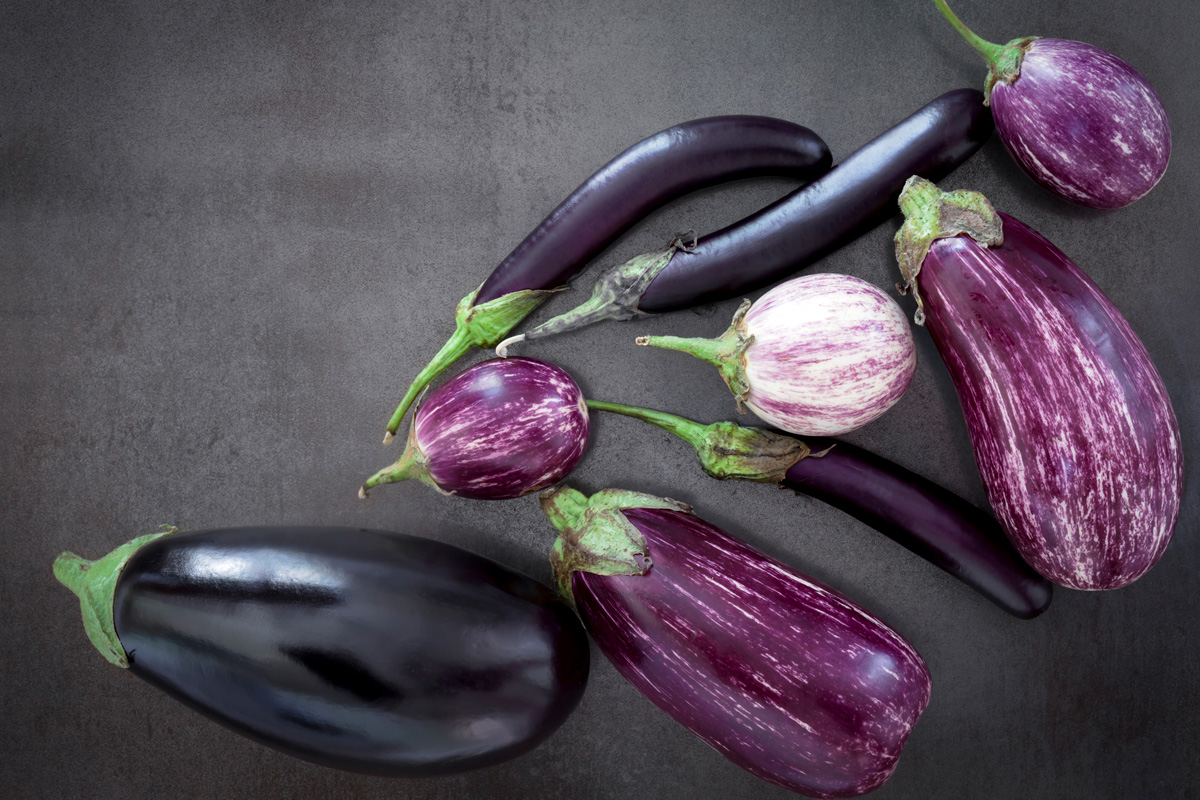 A variety of colorful eggplant on a gray surface in a photo studio