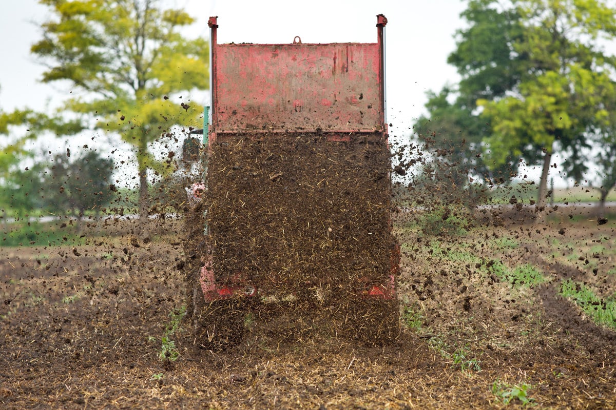 the business end of a manure spreader with pulverized manure and bedding coming out of the back