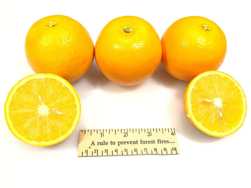 Hamlin Orange on US-812 rootstock