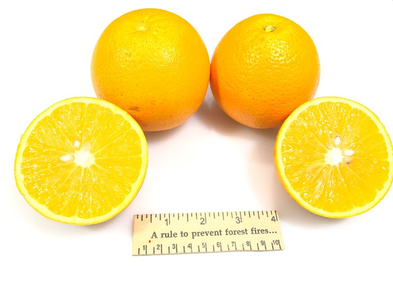 Marr's Orange on Poncirus trifoliata rootstock