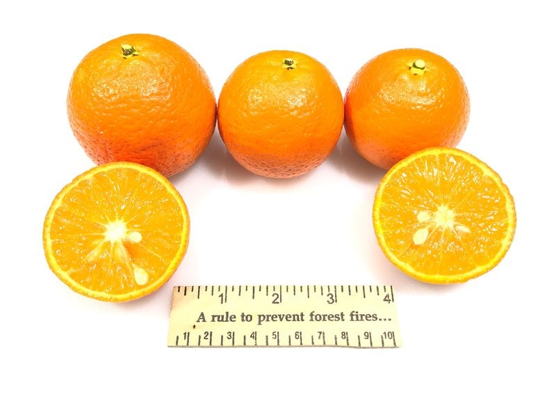 Page Tangelo on US-852 rootstock