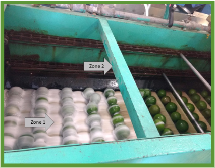 Fruit on a conveyor belt, with support beams above.