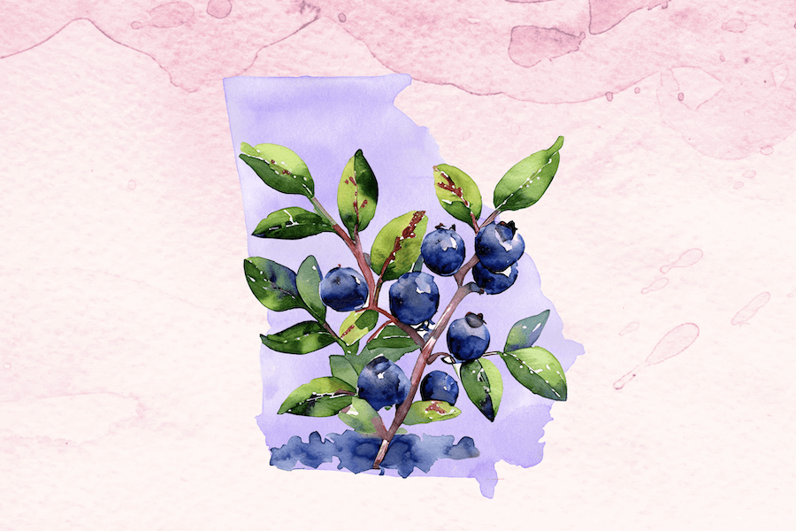 Blueberry Fields Forever
