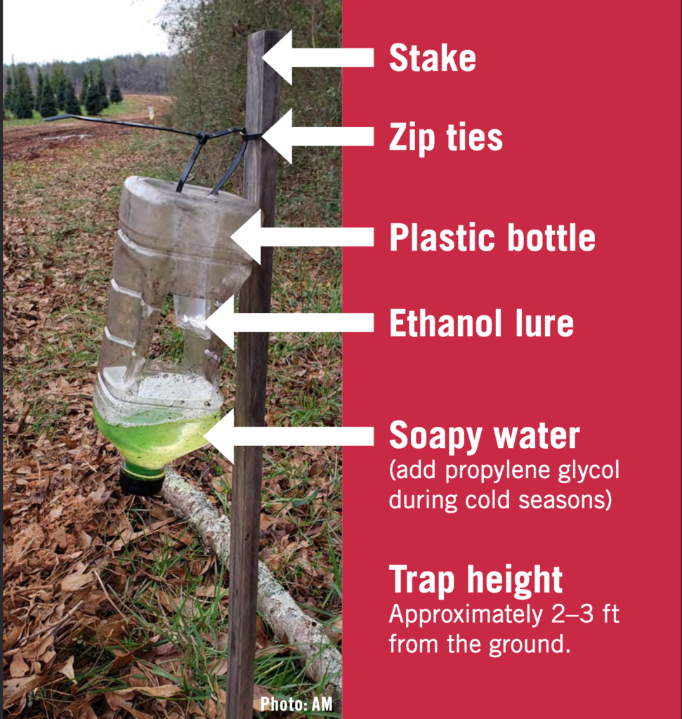 A photo with parts of a bottle trap noted. In order: a stake in the ground, zip ties to attach the trap to the stake, a plastic bottle to contain the lure, an ethanol lure, and soapy water with a note to add propylene glycol in the winter. The trap height is noted at approximately 2-3 feet from the ground.