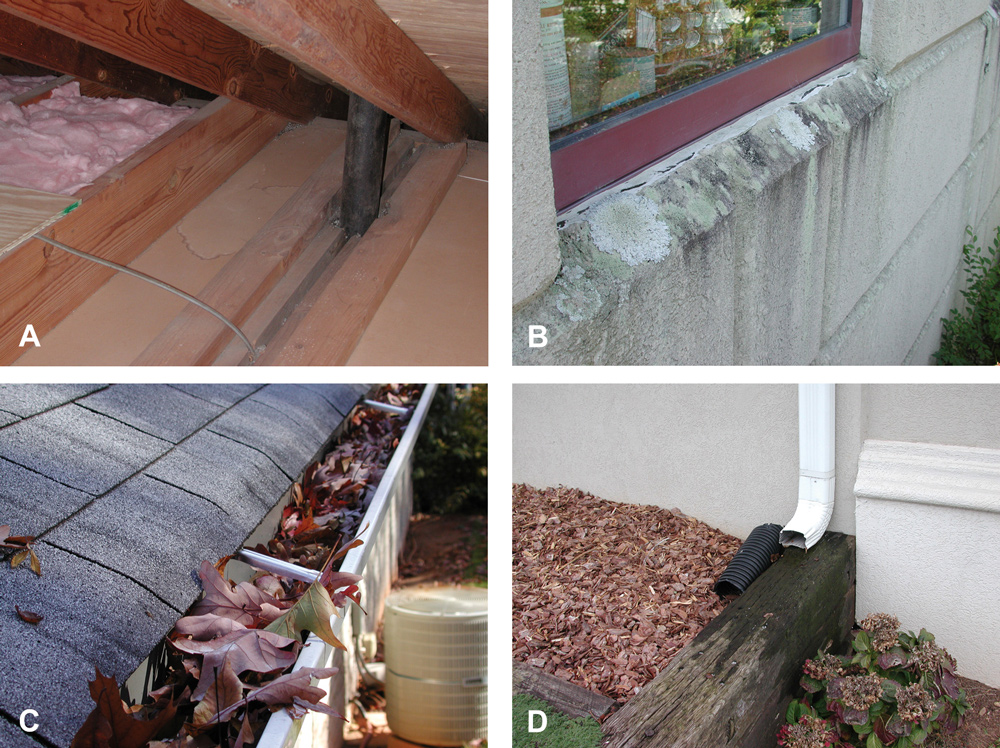 four images depict an attic space with a pipe and visible water leaks, an area around a window with lichen growth and cracked sealant, a gutter full of leaves, and a downspout with a soaking wet wooden rail underneath.