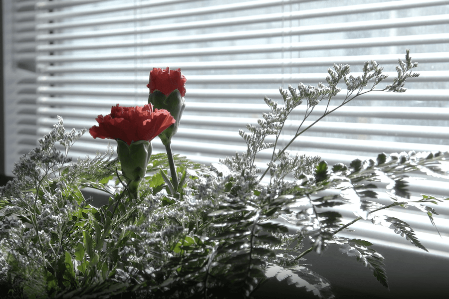 floral arrangement in front of a window