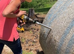 a hay probe is inserted into baleage to remove a sample