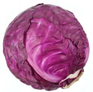 An orb of leaves bearing a striking magenta color.