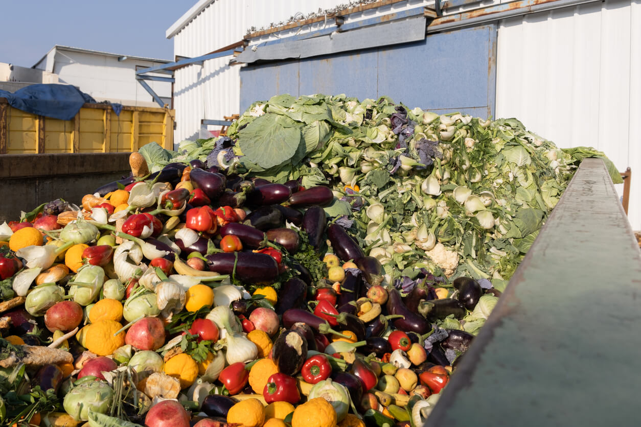 Food waste