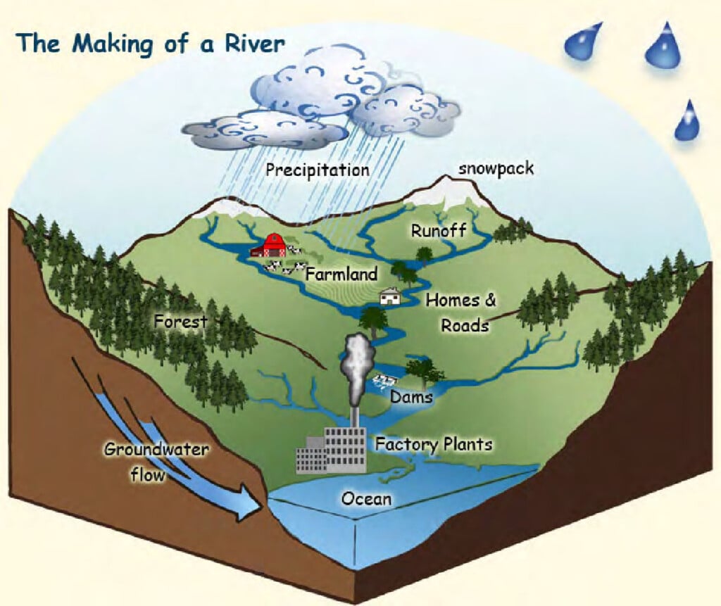 A diagram detailing the process by which rivers are formed. It shows precipitation and melting sowpack creating runoff which drains into farmlands, communities, dams, factories, making rivers and eventually leading out into the ocean.