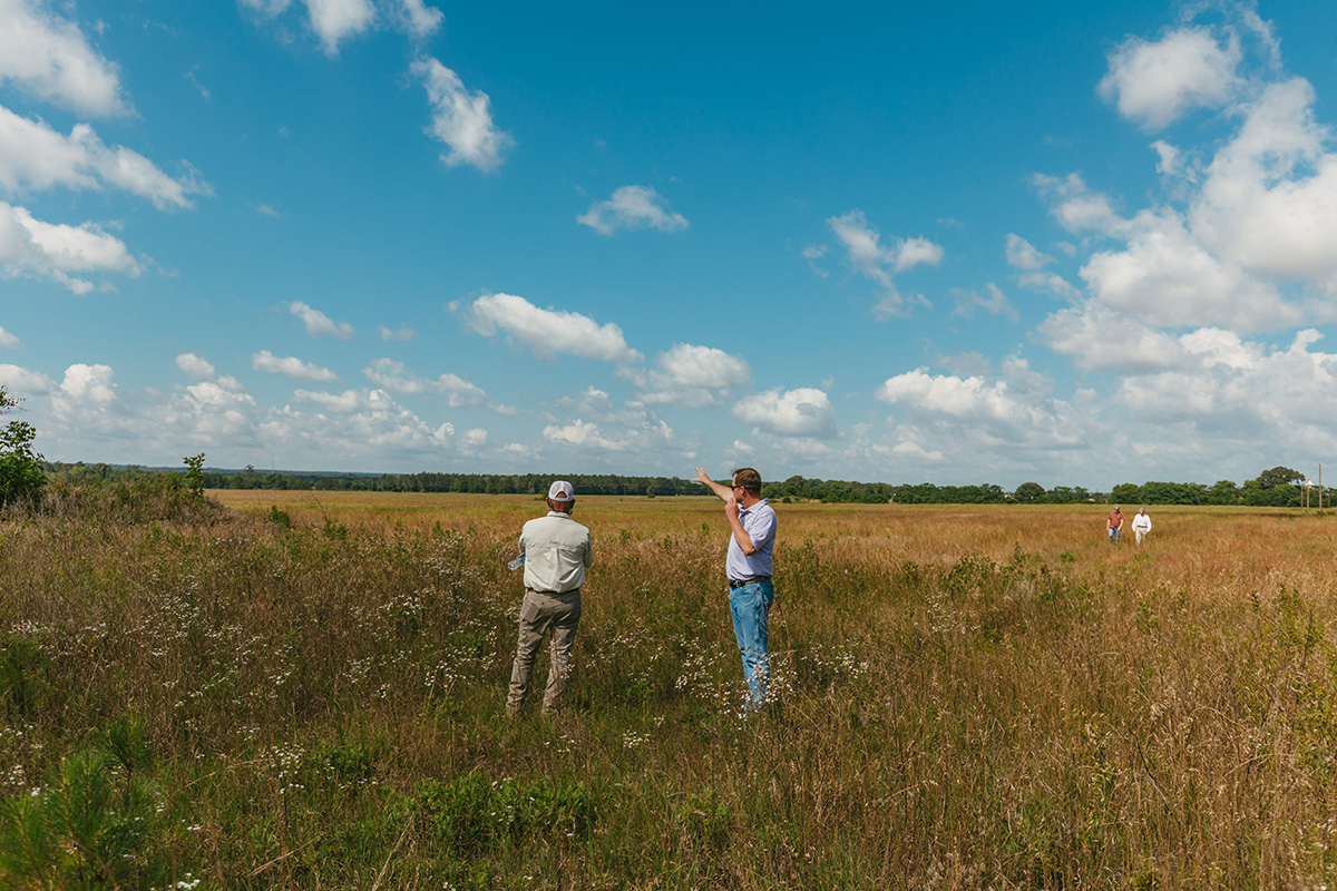 Two individuals standing in a lush field.