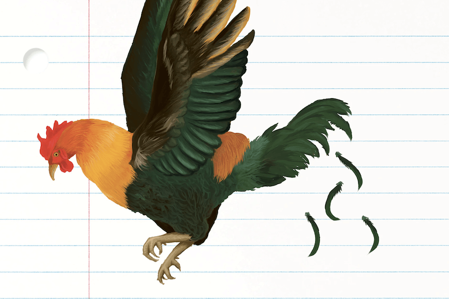 Avian Academy