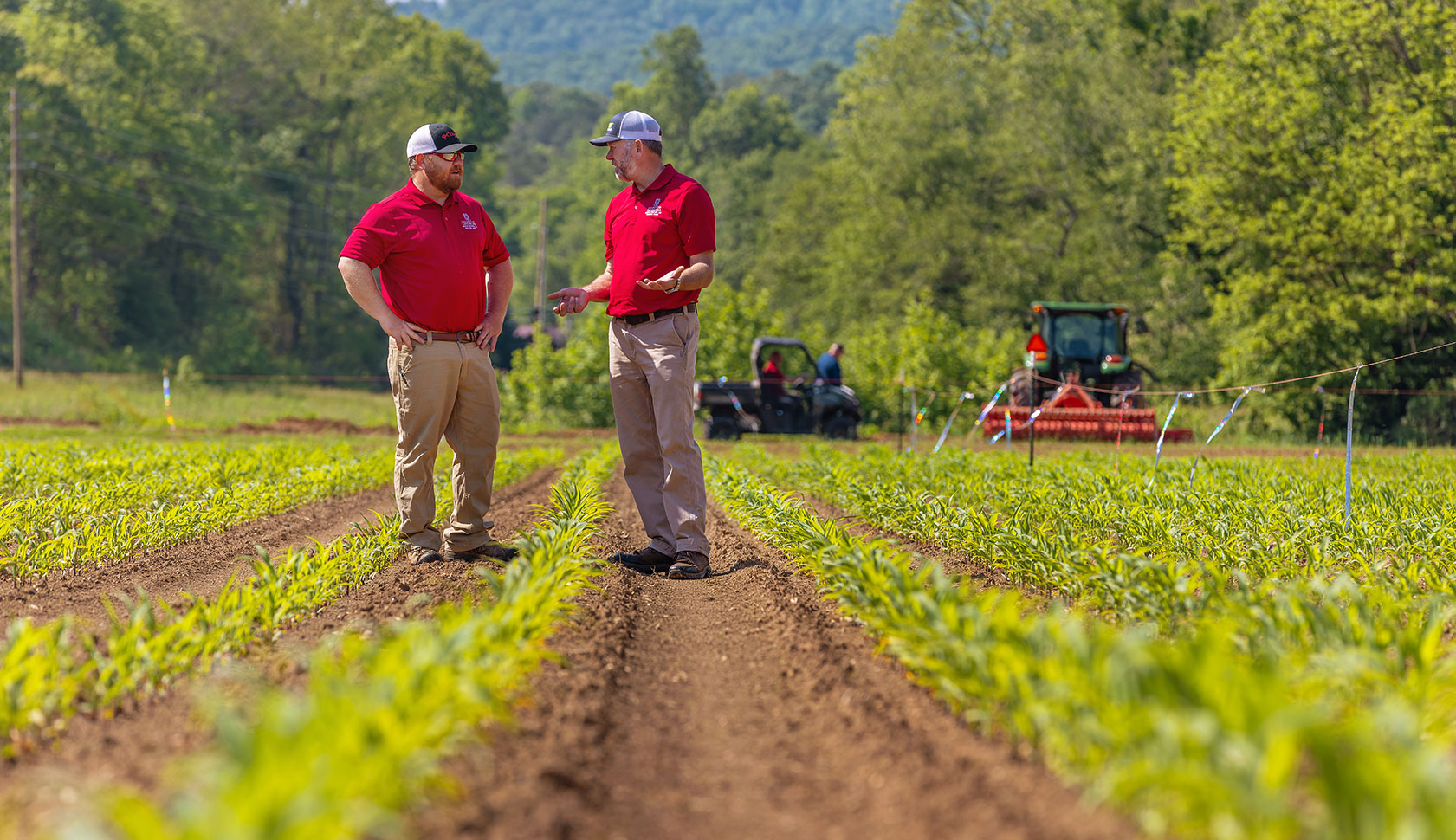 GMREC superintendent Ray Covington (right) and research technician Stuart Hall face each other in rows of field corn.