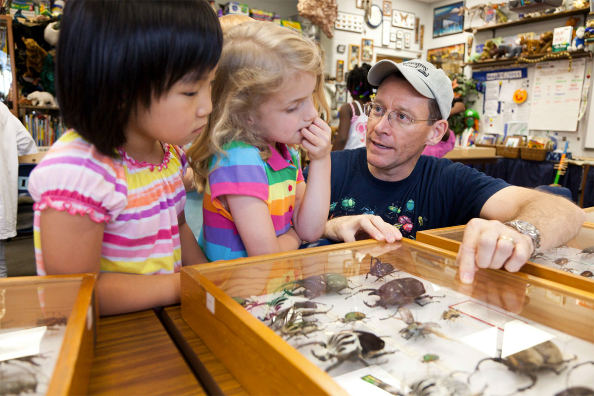 A man in a baseball hat points to a display case of beetle specimens while two children look on.
