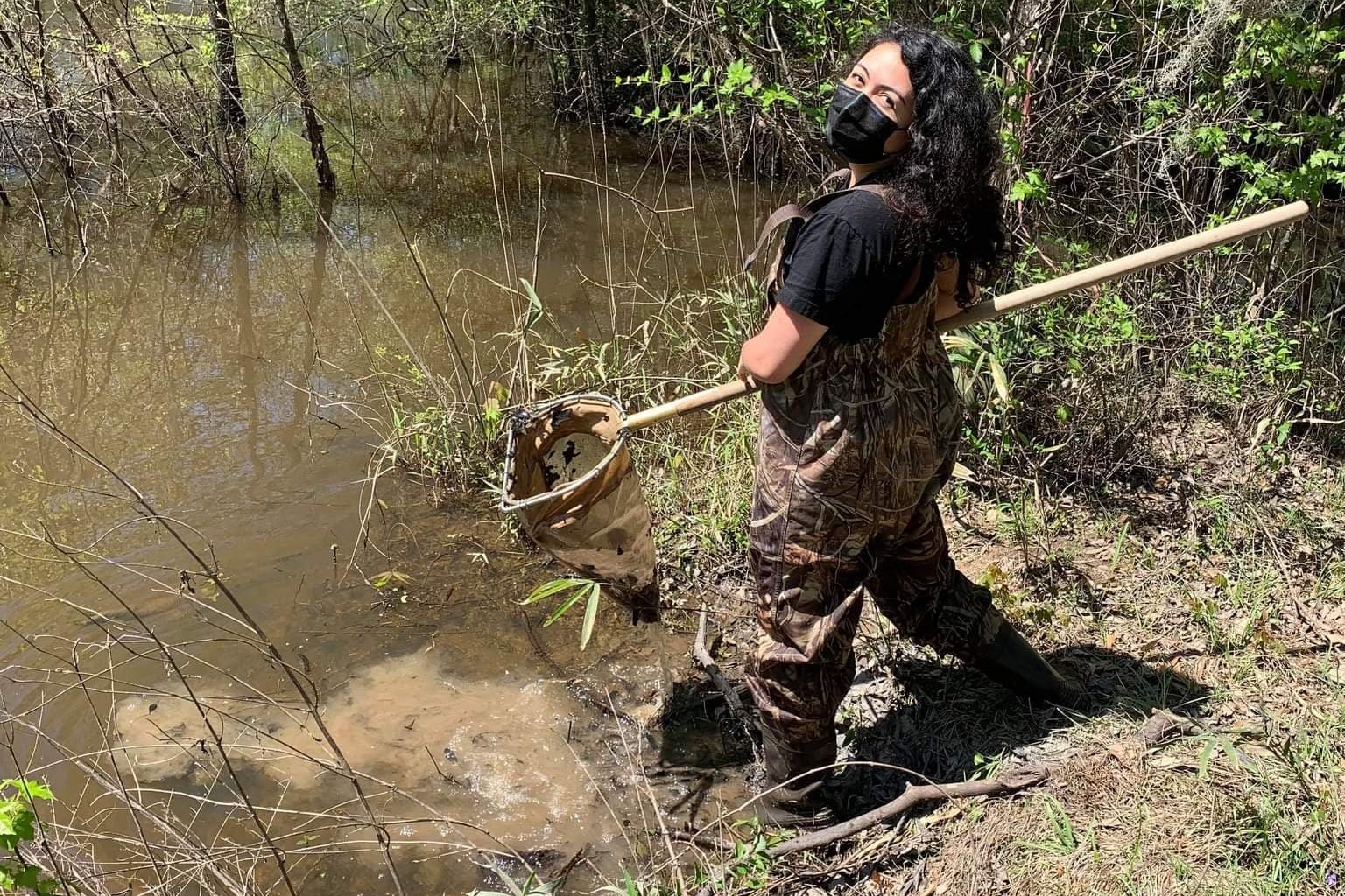 Gabriela Cardona-Rivera takes insect samples from freshwater