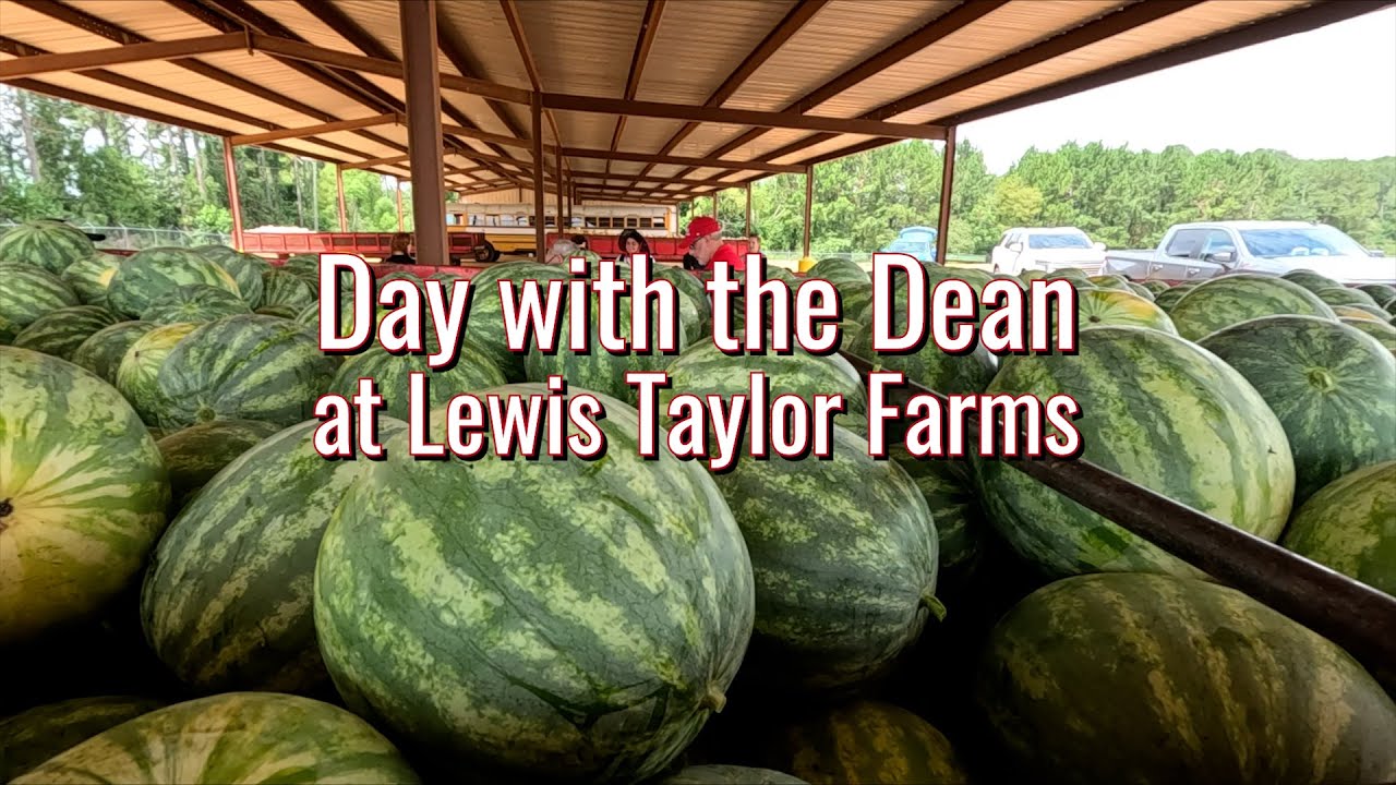 The words "Day with the Dean: Lewis Taylor Farms" set over watermelons under a tin roof.