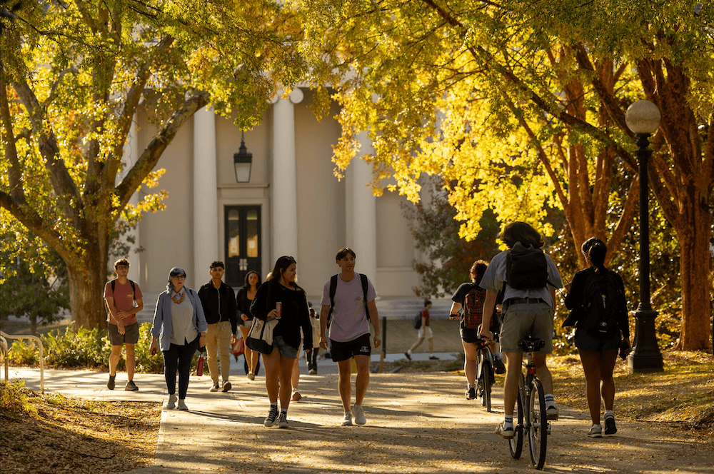 students walk under fall foliage on north campus