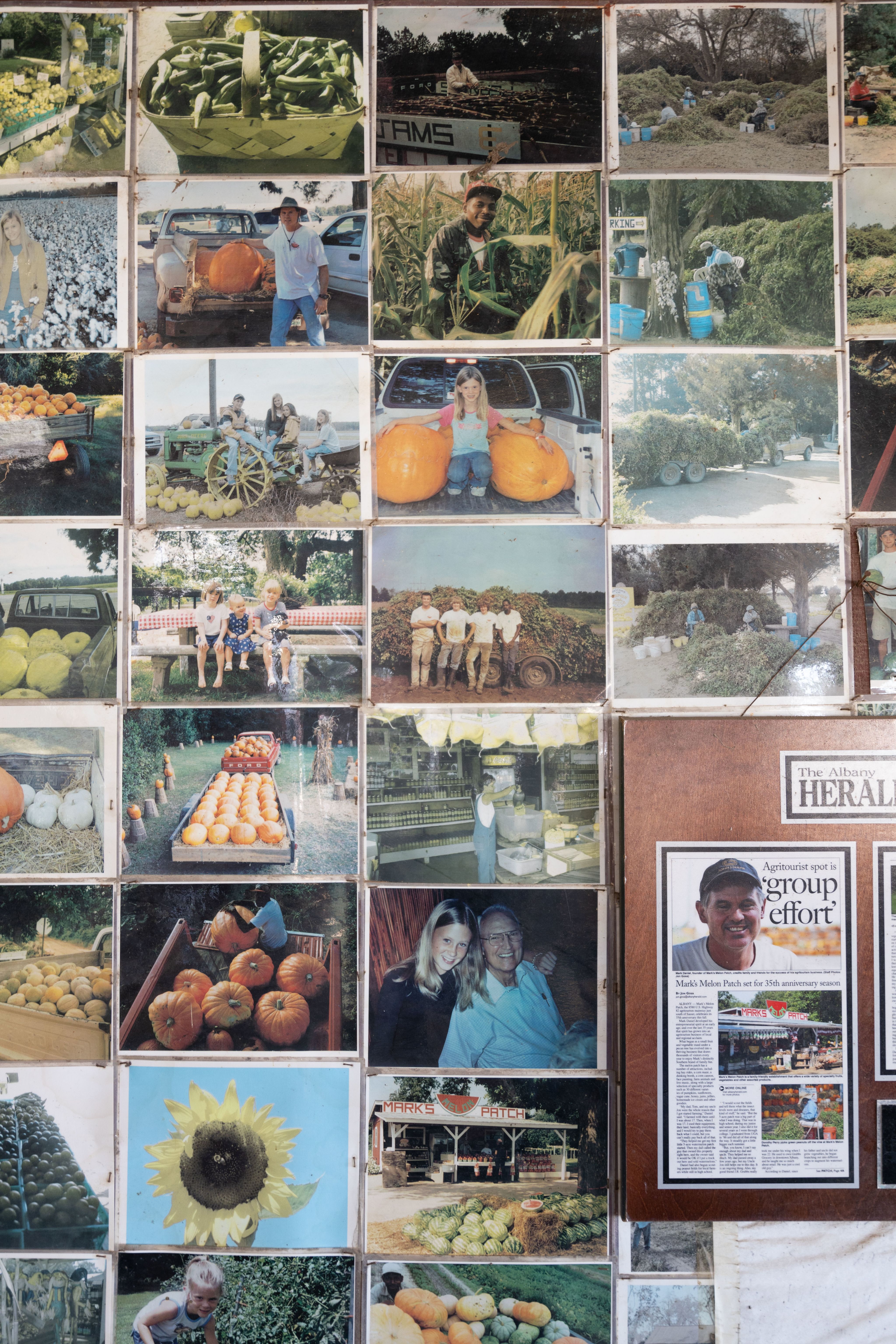 A collage of several photos taken over the years and assembled on the wall shows Mark Daniel and his family members, clippings of news articles, and employees holding different vegetables on the farm. 