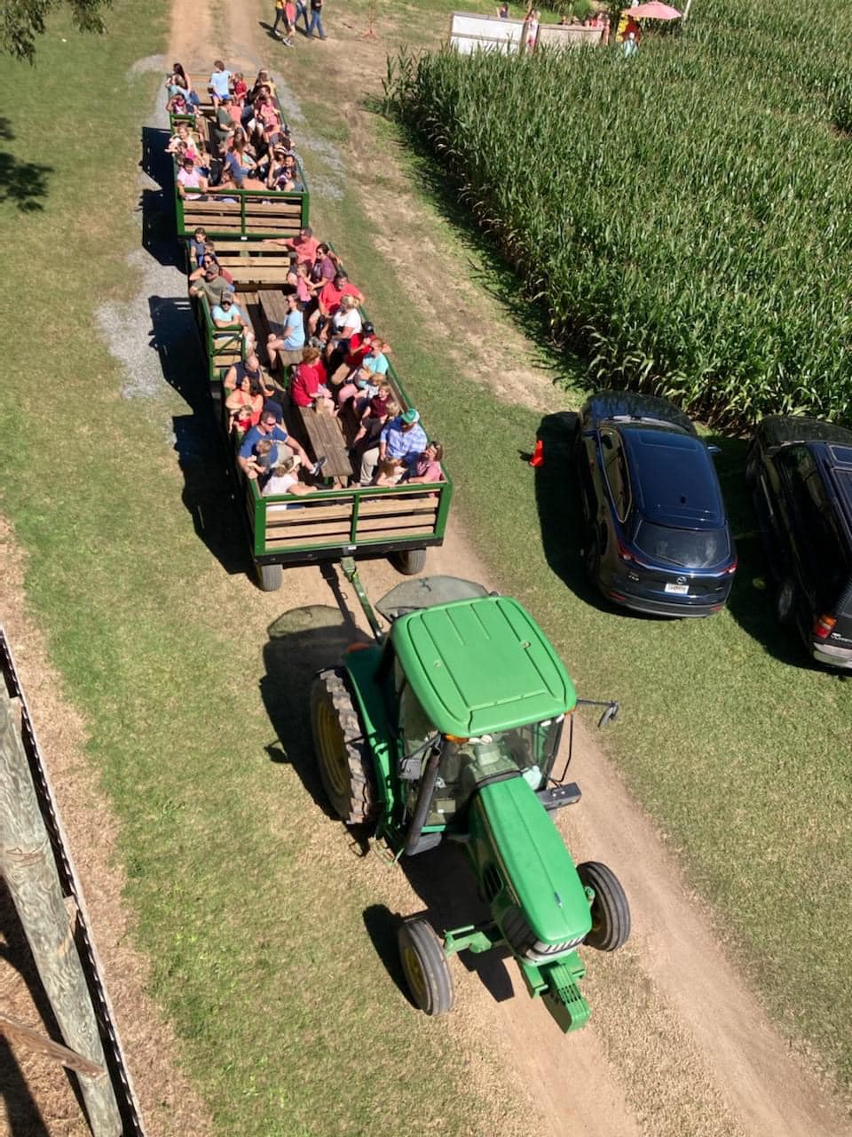 A green tractor is pulling two carts full of people during a ride around the farm.