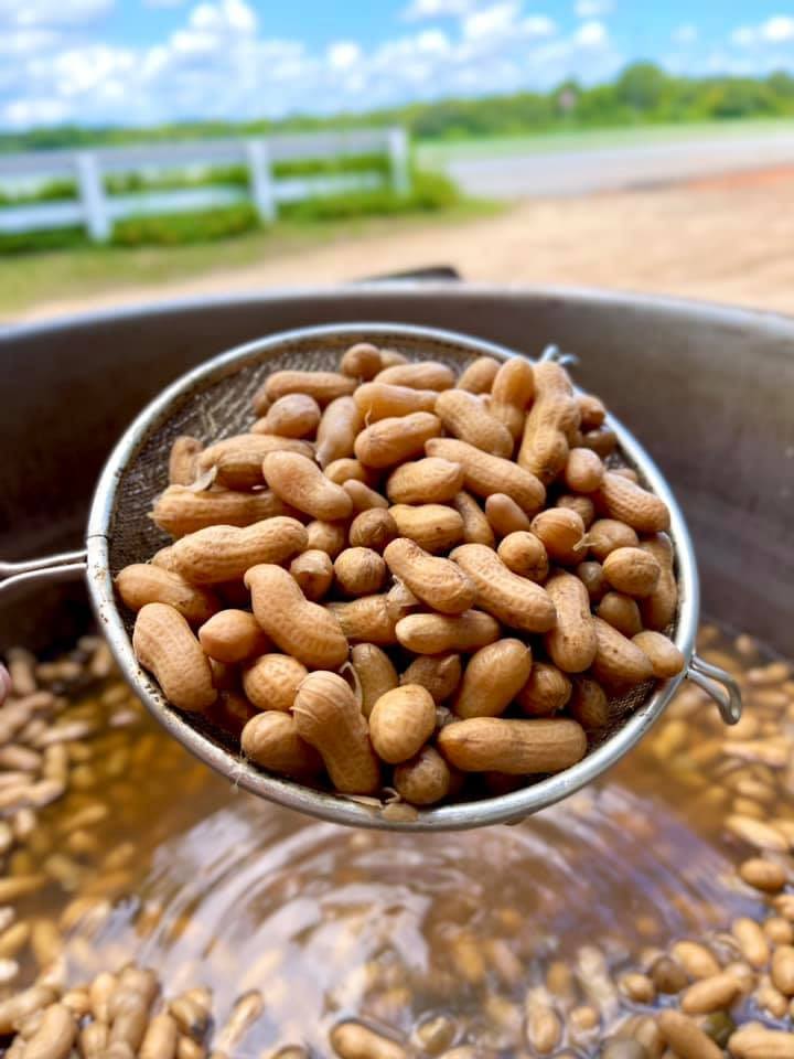 A mesh spoon holds boiled peanuts with a white fence in the background surrounded by green grass and blue skies with white clouds.