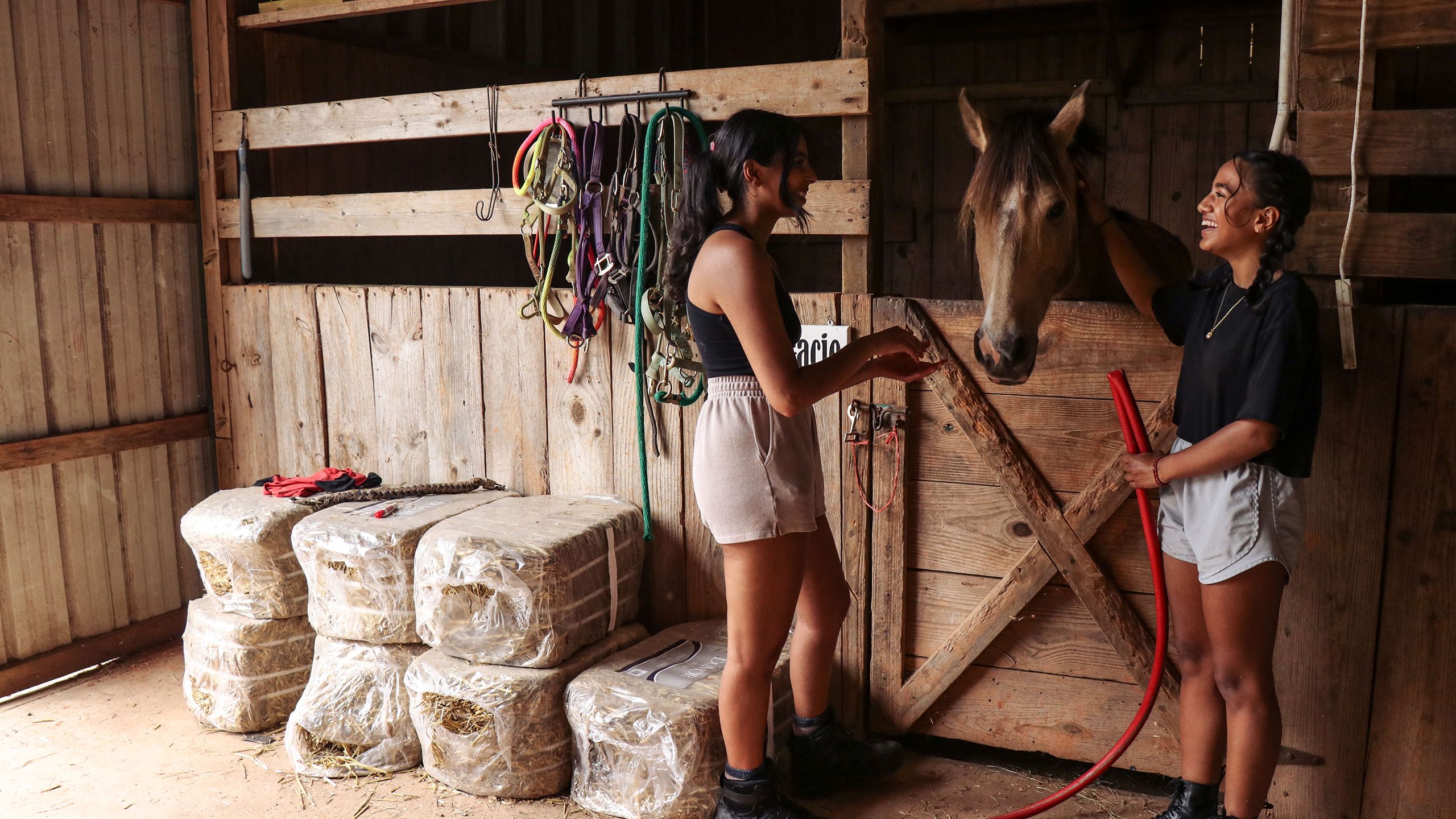 Two girls tending a horse in a stable