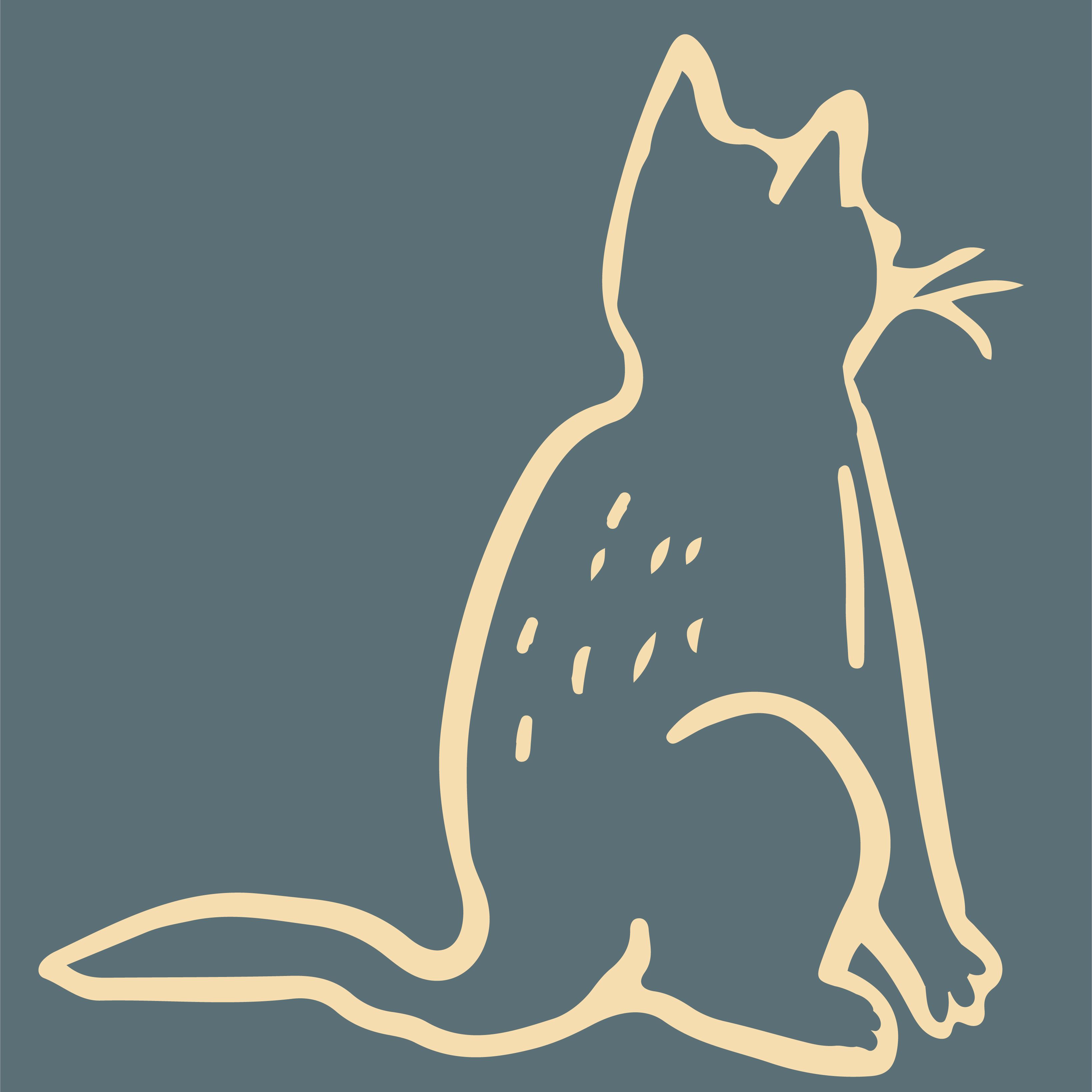 A cartoon drawing of a sitting cat