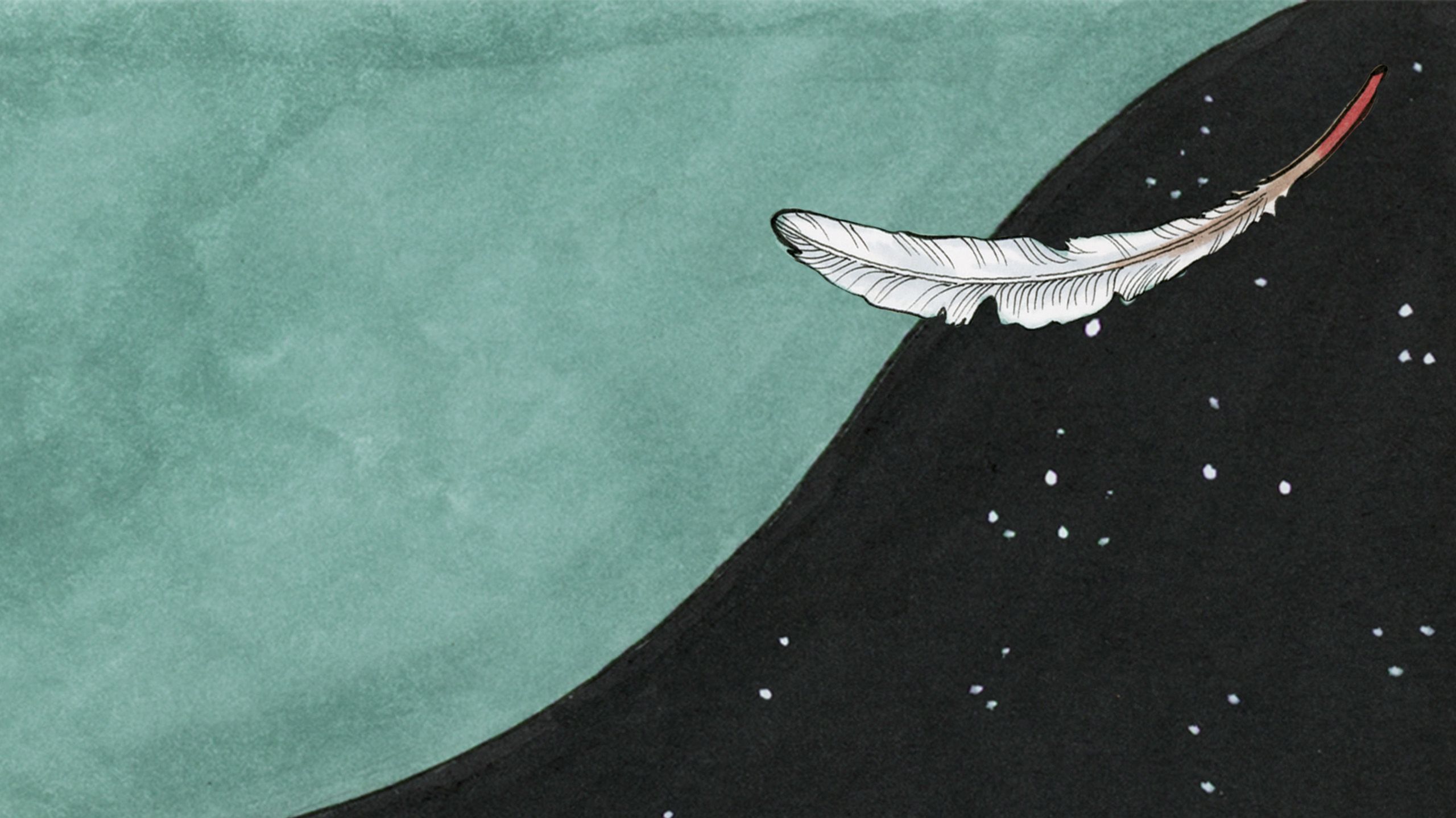 Starry background with a feather drifting down