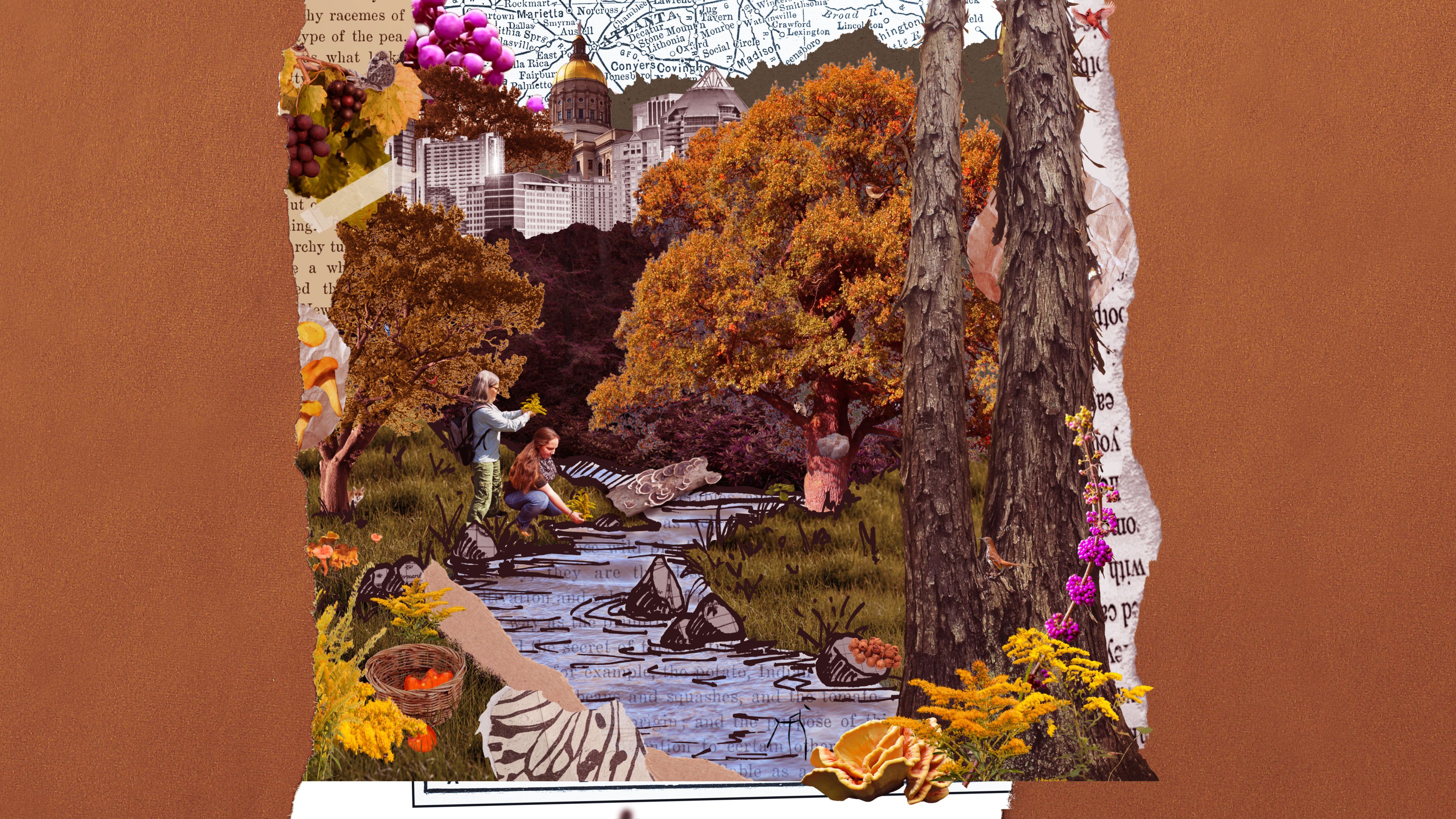 A collage of two women by a flowing stream with multiple trees, mushrooms, nuts, and more nearby. A cityscape stands in the background.