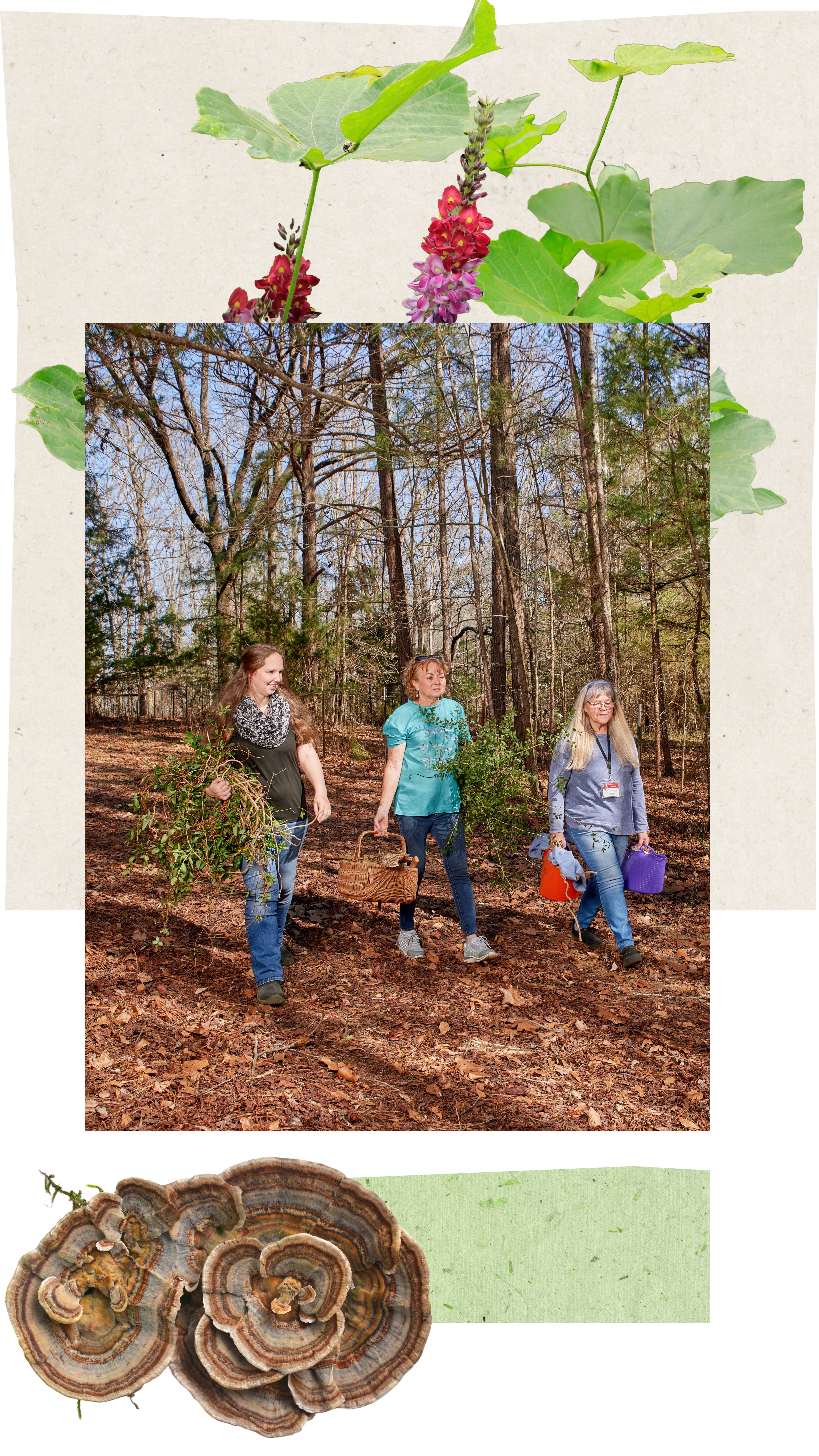 Three women walking in a forest, each carrying gathered greenery and baskets, engaged in an outdoor activity.