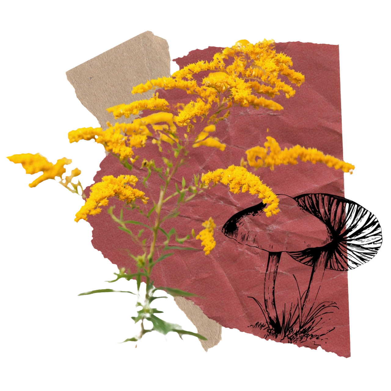 A drawing of a mushroom surrounded by yellow flowers.