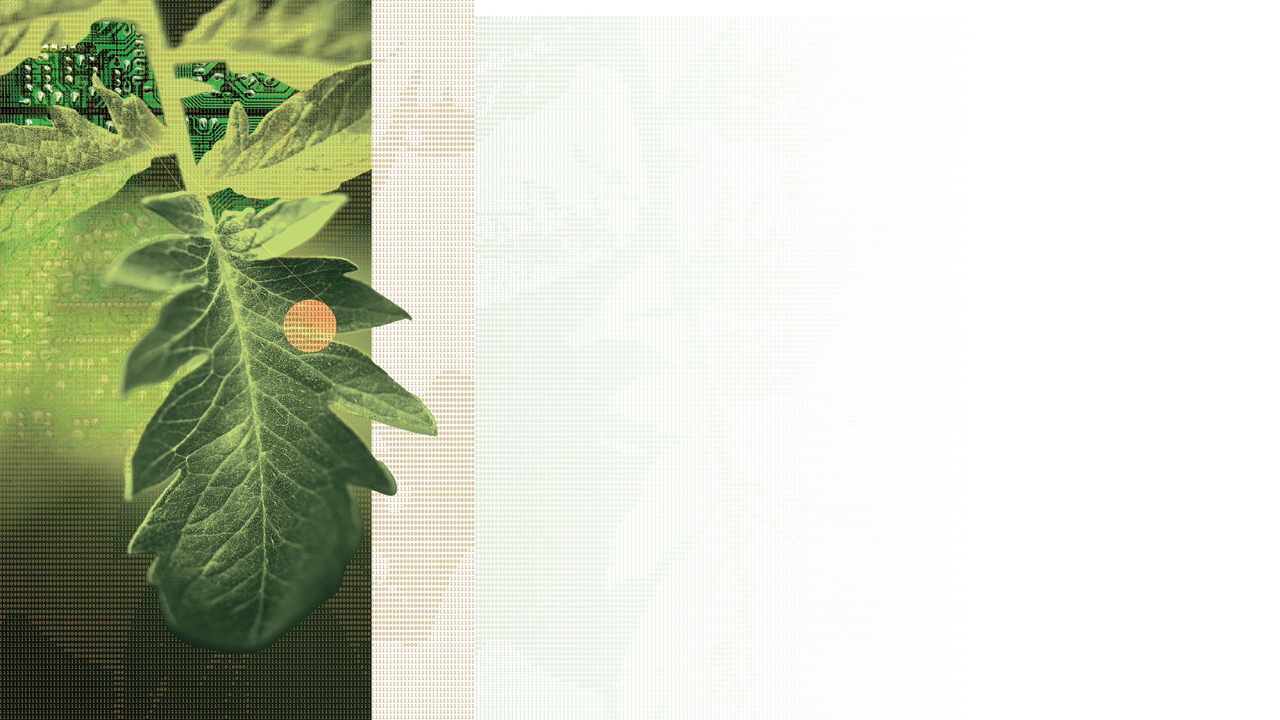 Leaf and circuit collage