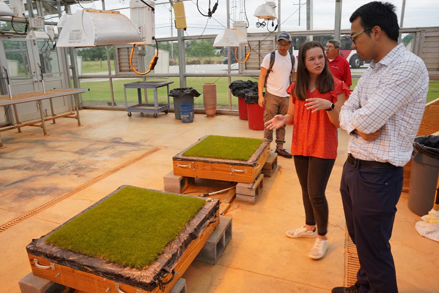 A woman in a red shirt and a man in a white shirt stand in front of a displayed rectangle of turf grass during a precision turf tour while two men stand in the background.