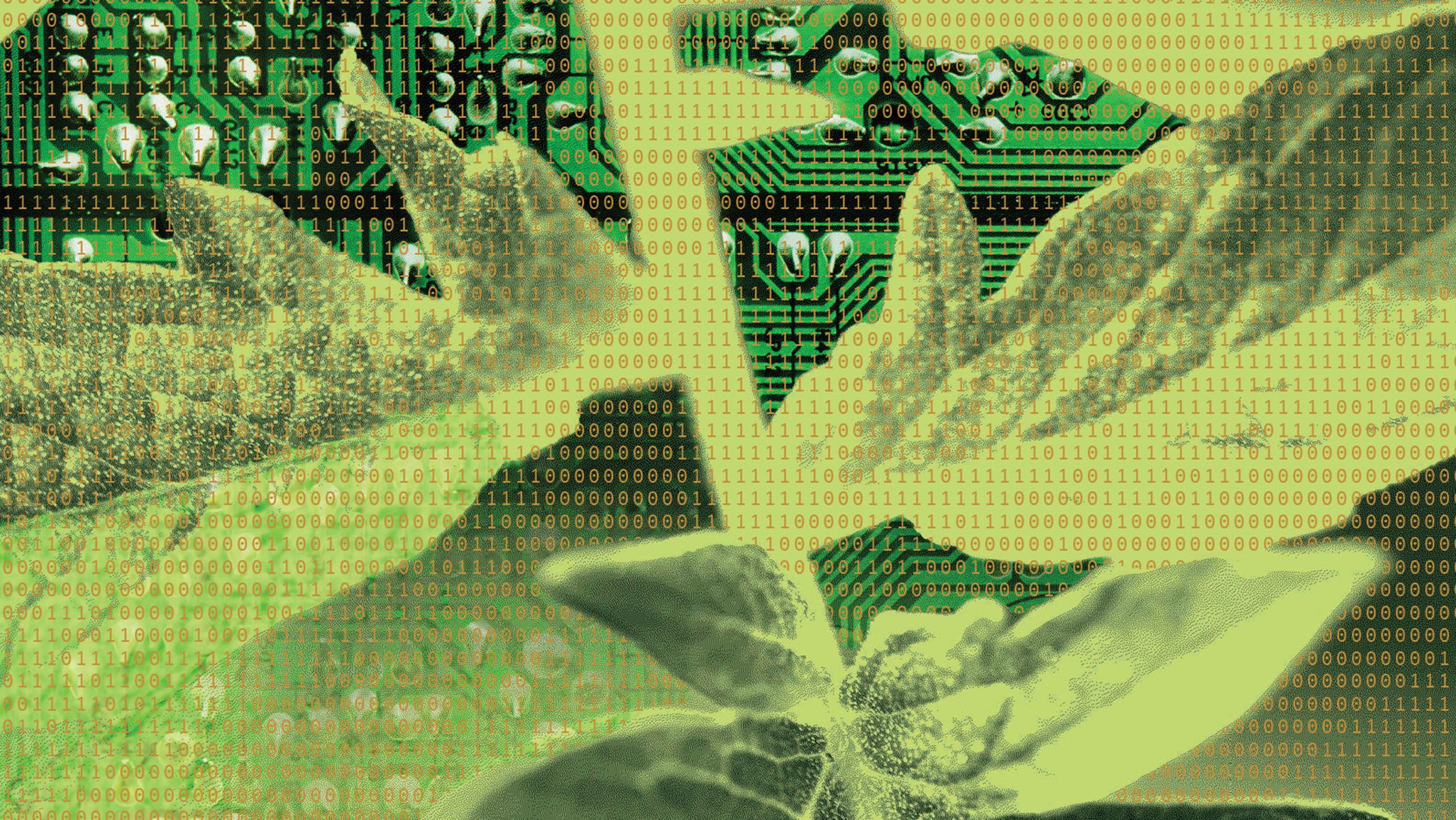 Collage of leaves and circuit boards overlaid with binary code texture