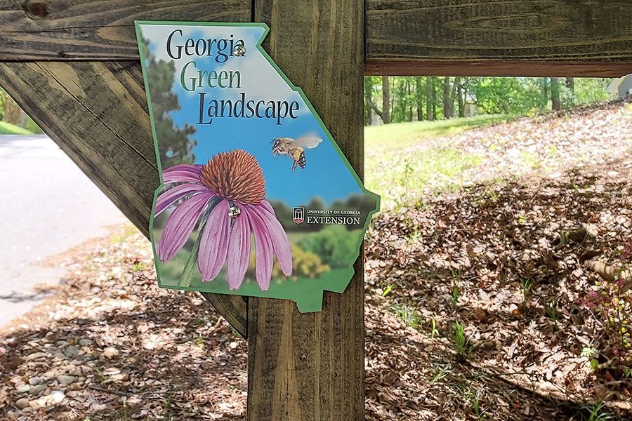 A Georgia Green Landscape sign is attached to a wooden mailbox with brown leaves and trees in the background on a sunny day.