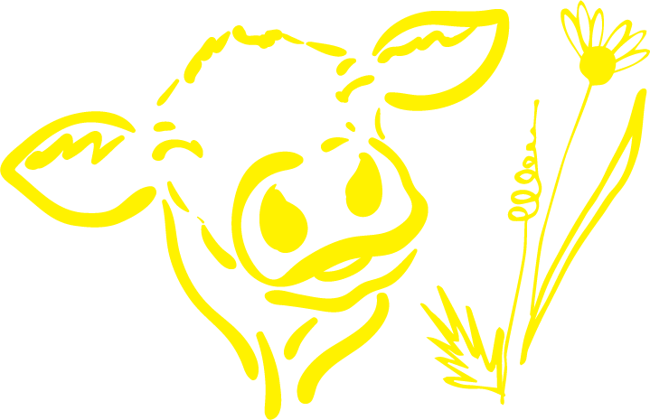 A yellow cartoon of a cow's face with a flower next to it