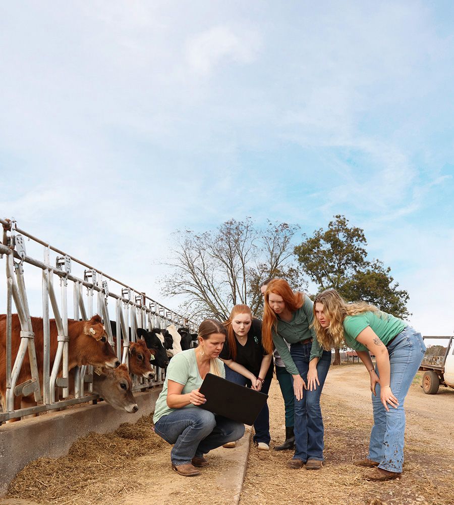 Three individuals attentively examining a portable computer screen together at a dairy farm with cows in the background.