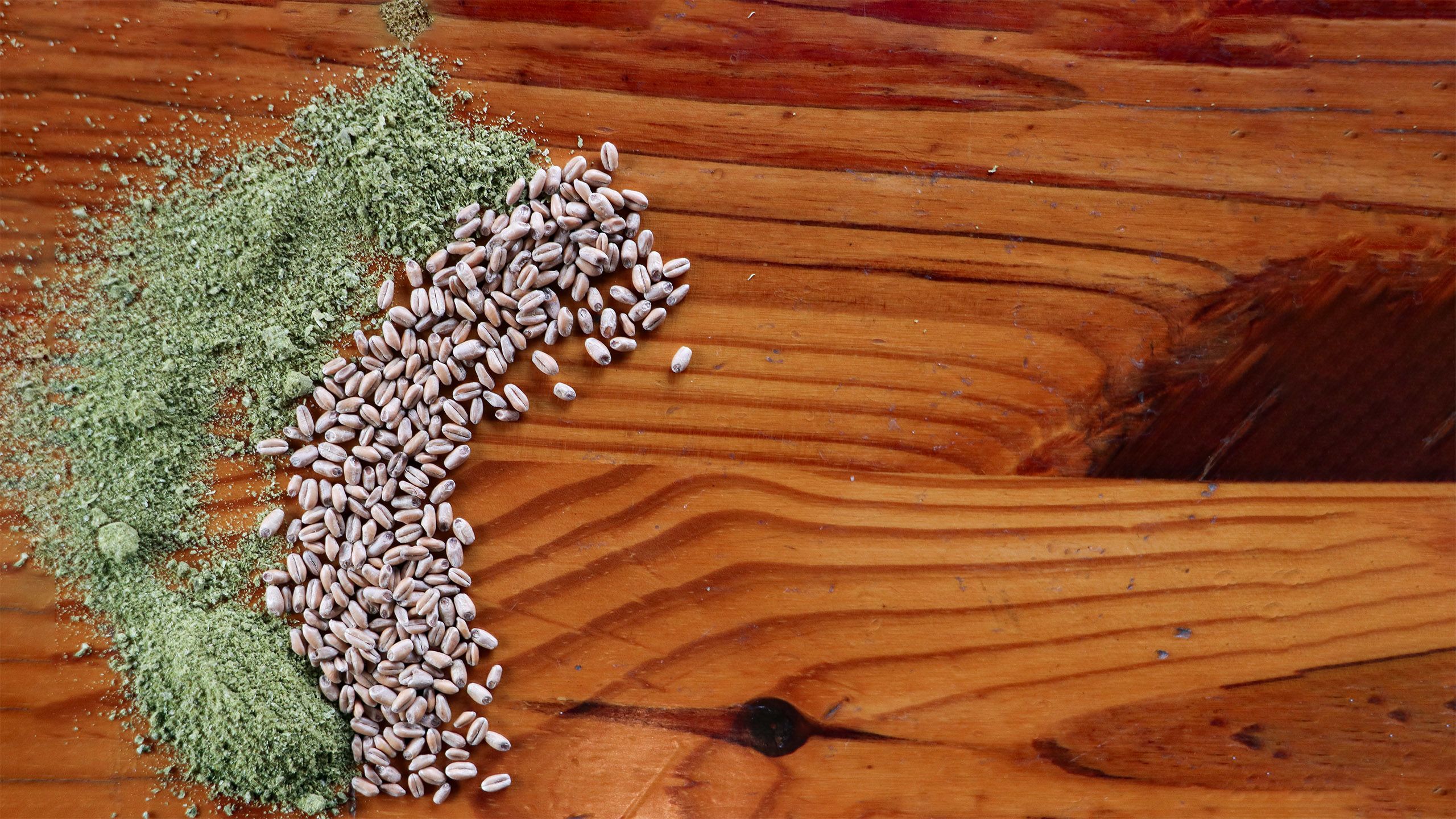 Hops and wheat scattered across a wooden surface