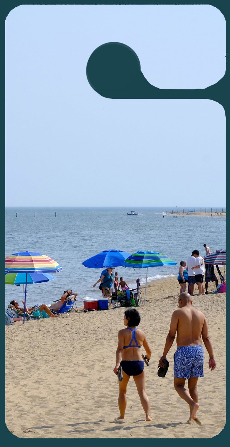 A graphic of a car tag showcasing people on a beach