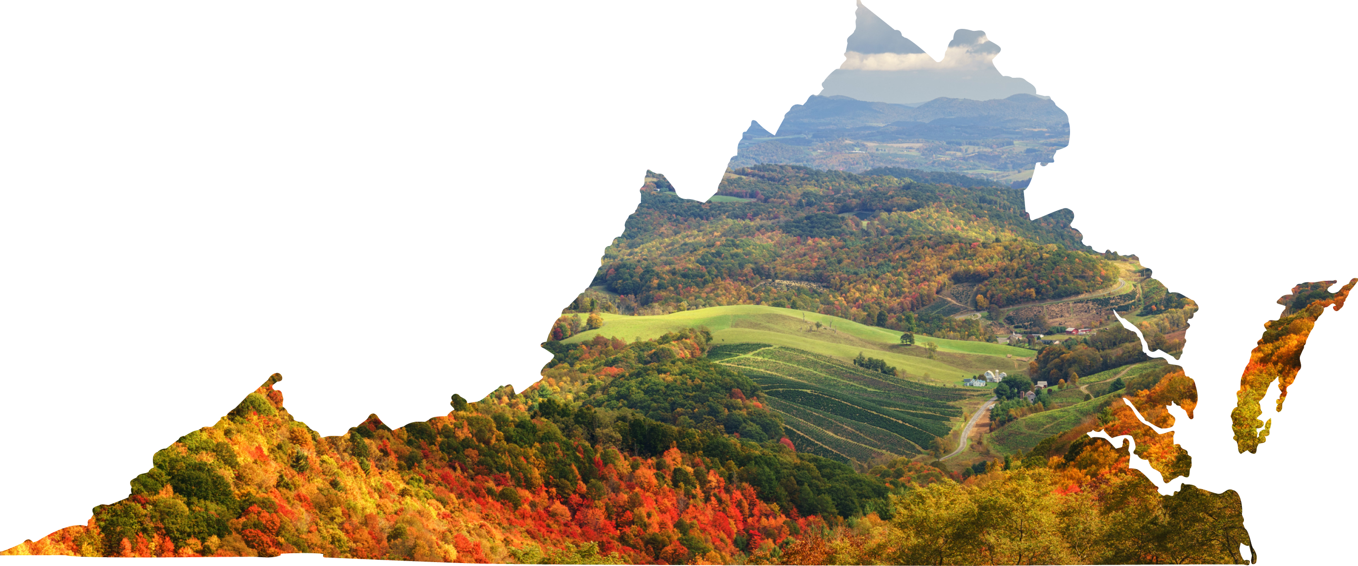 A lush fall forest landscape in the shape of the state of Virginia