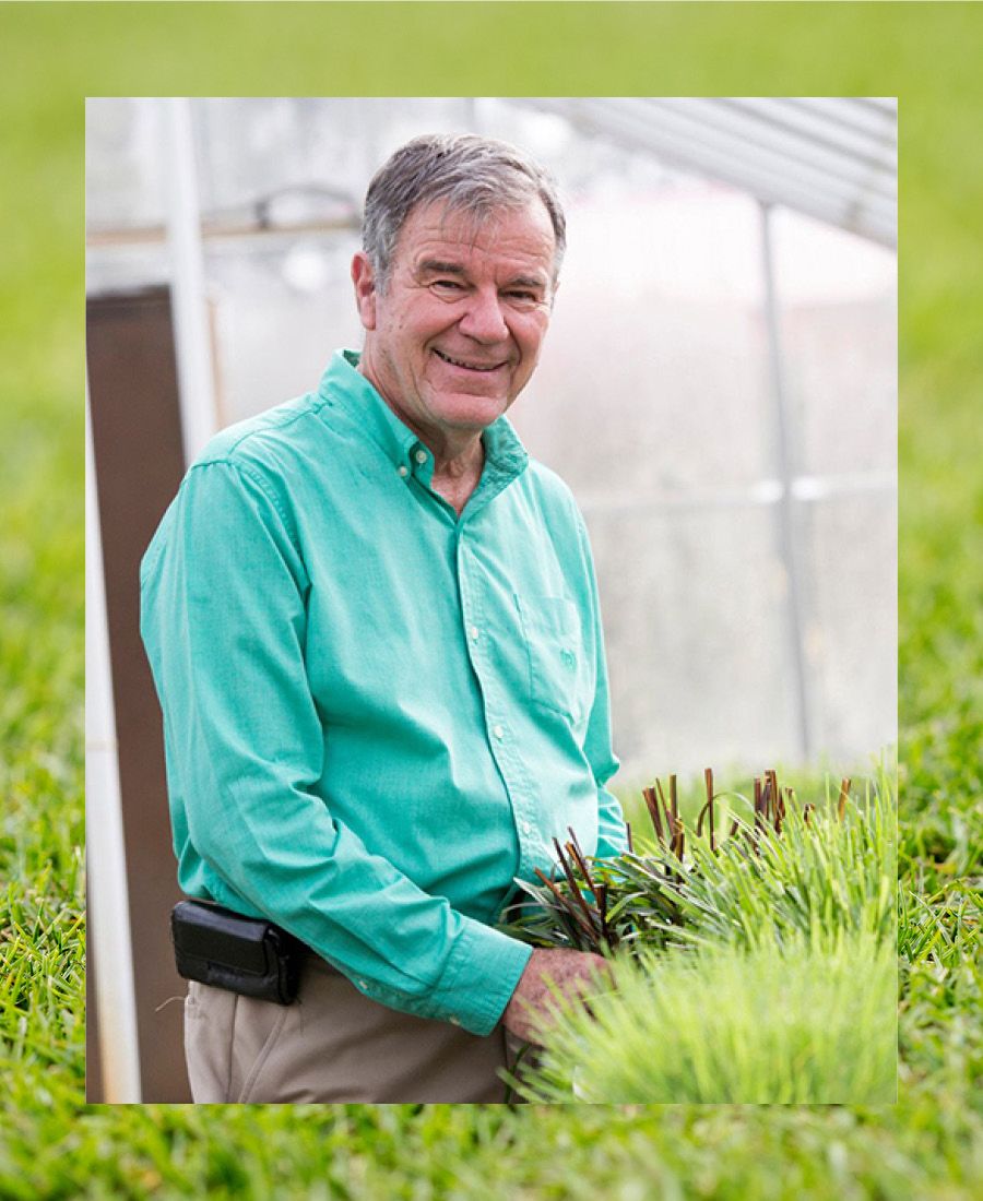 A headshot of Wayne Hanna standing in a greenhouse