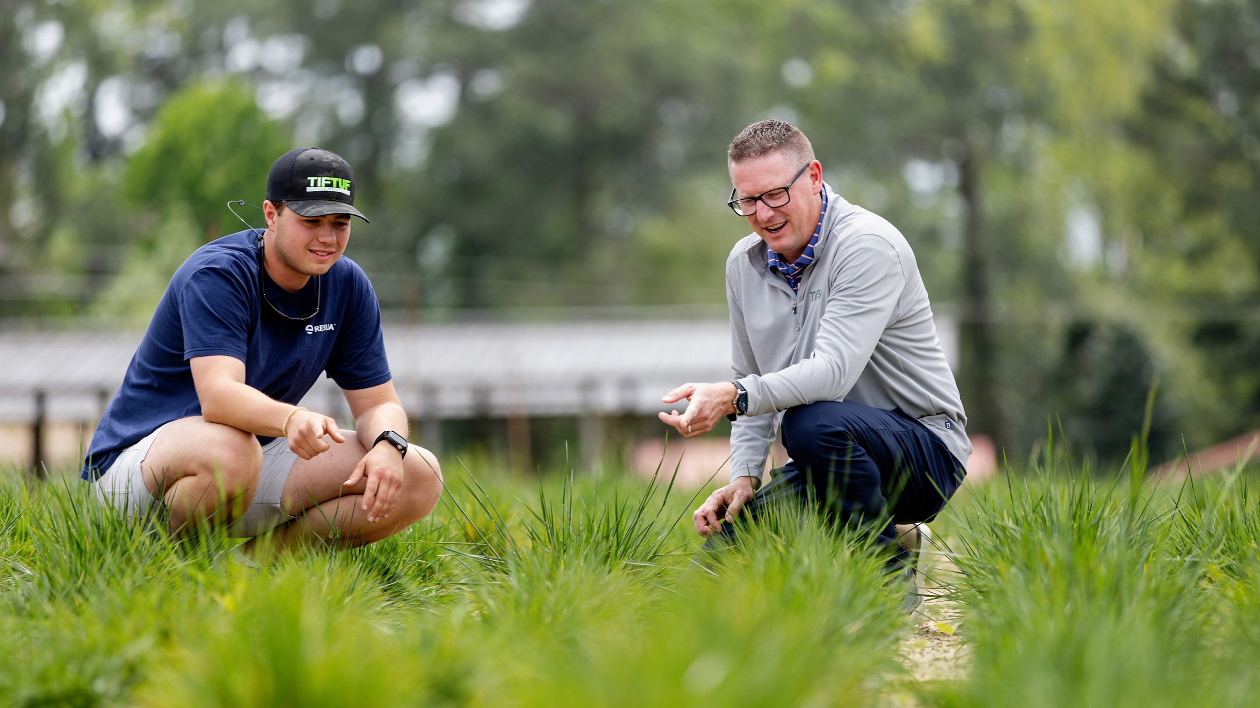 Two researchers squatting in a field examining turf grass