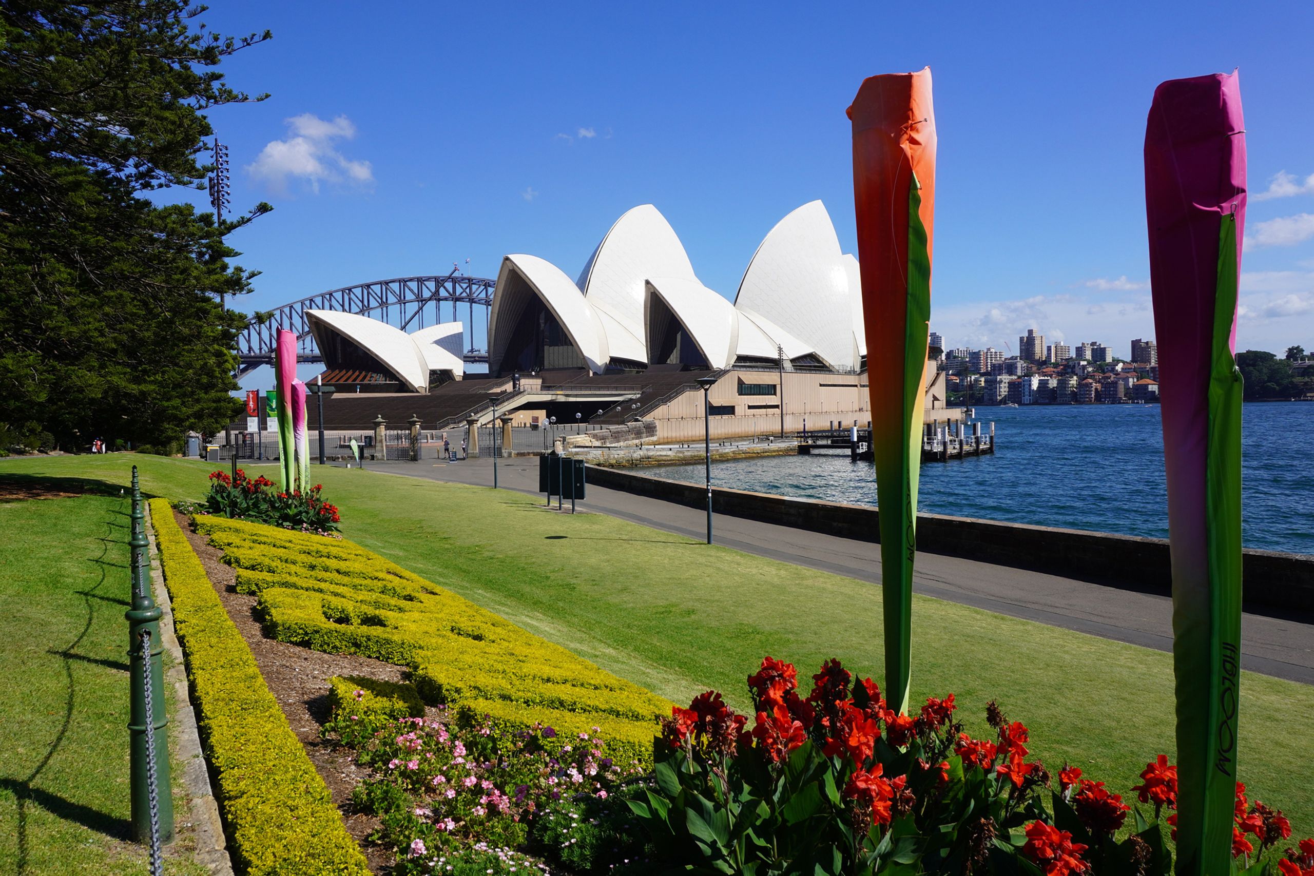 The Sydney Opera House set against a blue sky with a lush garden in front of it