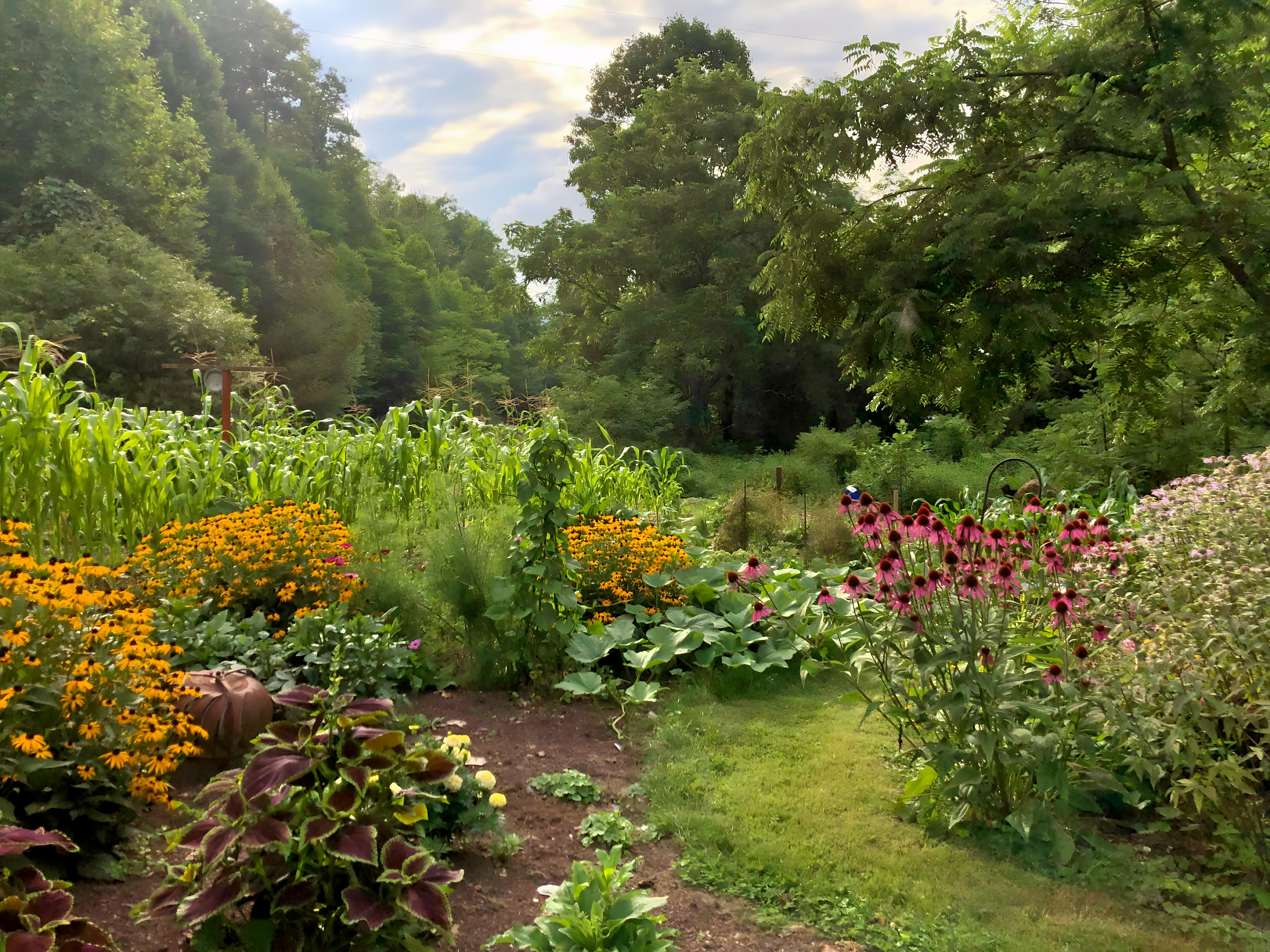 A spring garden has a mixture of vegetables and pollinator friendly flowers, with trees in the background.