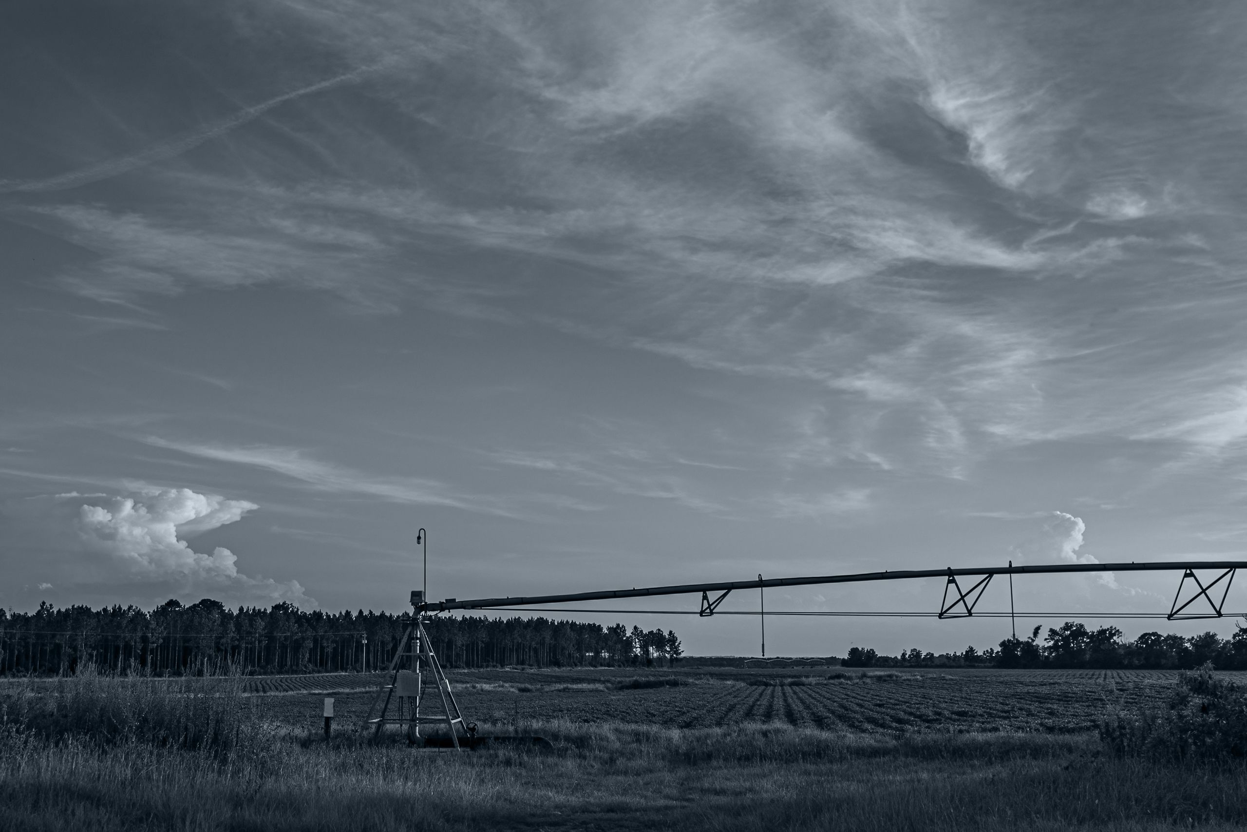 Black and white photo of an irrigation system in a peanut field.