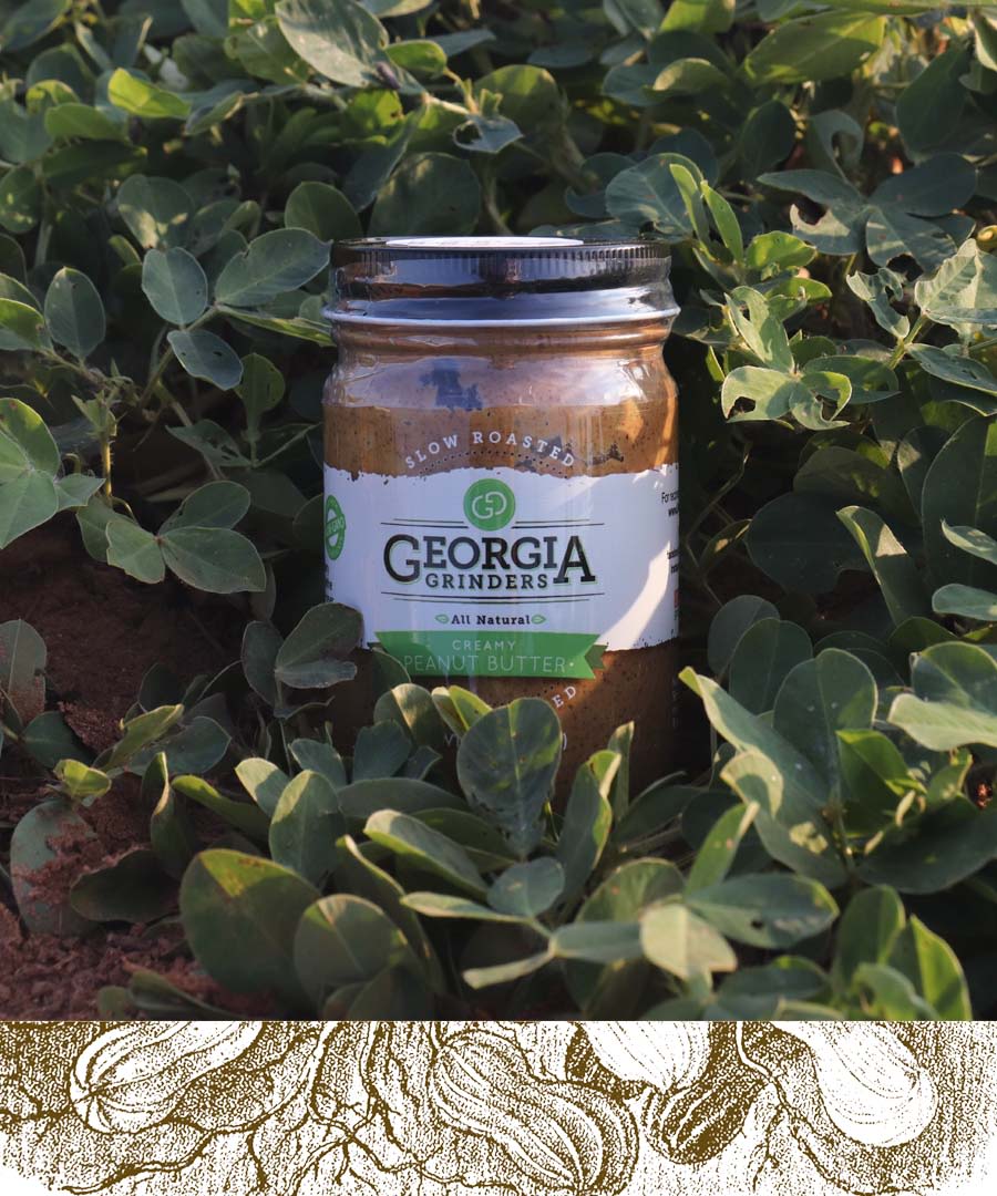 A closeup photo of a jar of Georgia Grinders creamy peanut butter sits among the leaves of a peanut plant in a field.