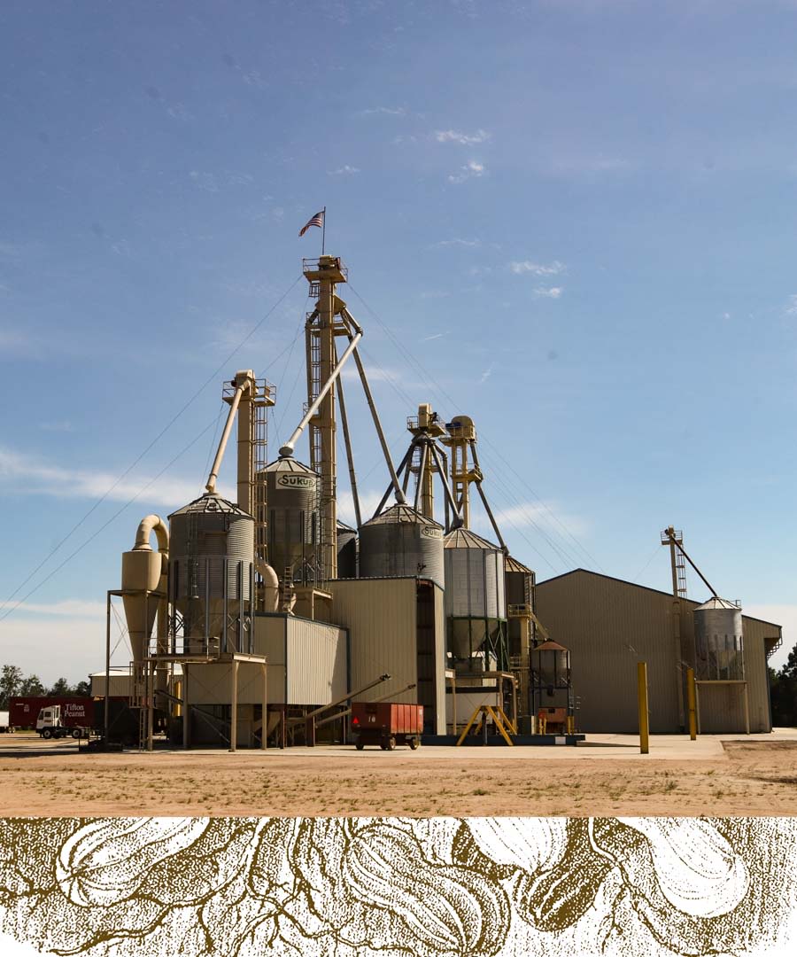 A wide photo of a peanut seed storage plant at Tifton Peanut Company.