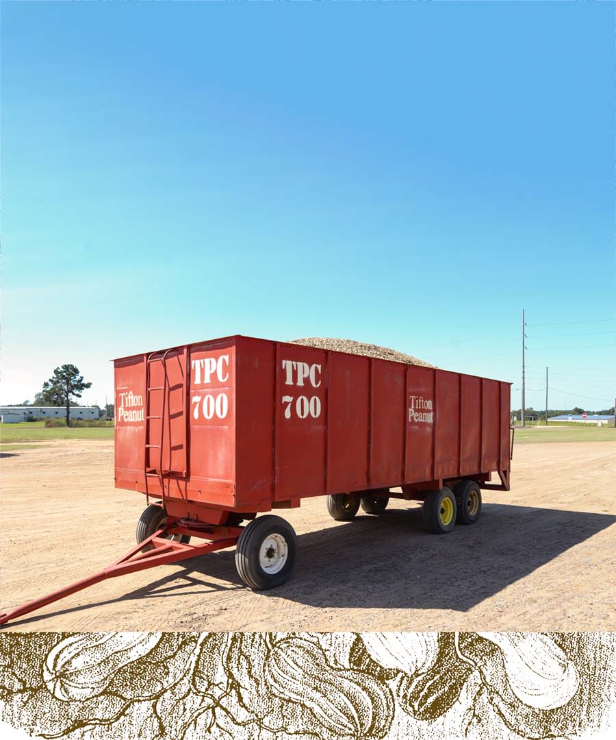 A red trailer containing a load of peanuts waiting for inspection at a peanut shelling station in Tifton, Georgia.