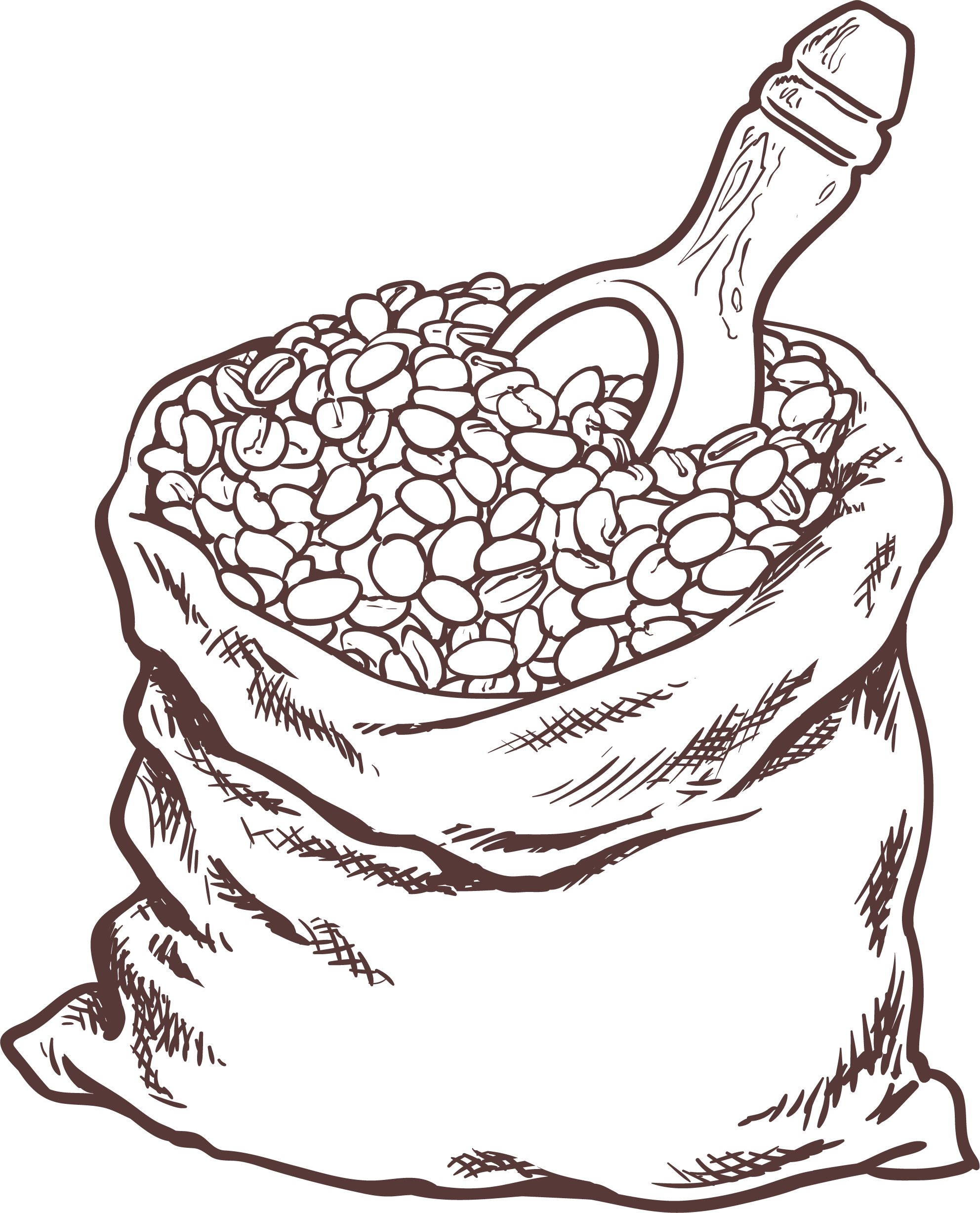 Coffee beans illustration