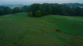 Two horses walk along a path through a grassy field.